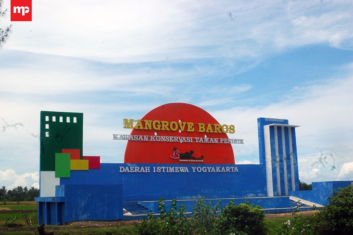 About Mangrove